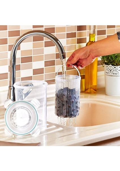 Zeytin Dilme Çizme Aparatı Ve Süzgeçli Derin Saklama Kabı fiyatları