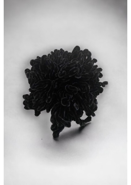 Kadın Siyah Topuz Toka