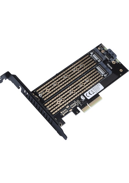 Sata + Nvme M.2 SSD Pcı-E Kartı (DK-AC-PEM2X2)