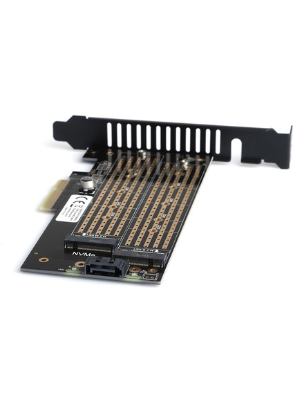 Sata + Nvme M.2 SSD Pcı-E Kartı (DK-AC-PEM2X2)