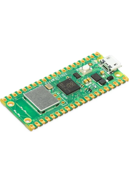 Raspberry Pi Pico W