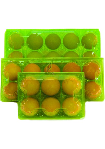 8 Li Yeşil Plastik Kapaklı Yumurta Viyolü 100 Adet fırsatları