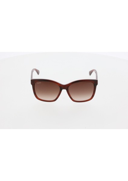 Maxmara MM 0042 71F Güneş Bayan Gözlüğü