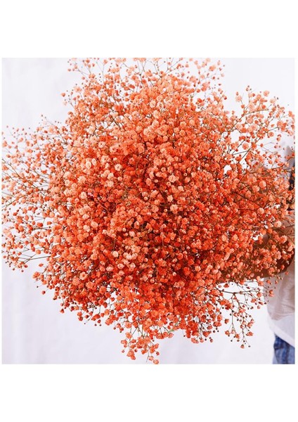 Netten Evime Kuru Çiçek Doğal Turuncu Cipso 50GRAM 1. Kalite Şoklanmış Bozulmaz