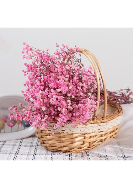Netten Evime Kuru Çiçek Doğal Pembe Cipso 50GRAM 1. Kalite Şoklanmış Bozulmaz