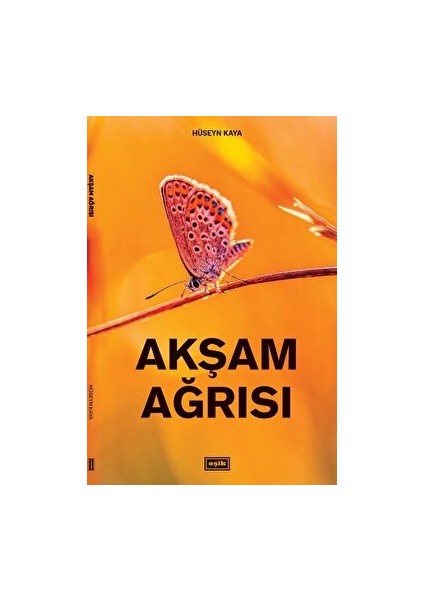 Akşam Ağrısı - Hüseyn Kaya