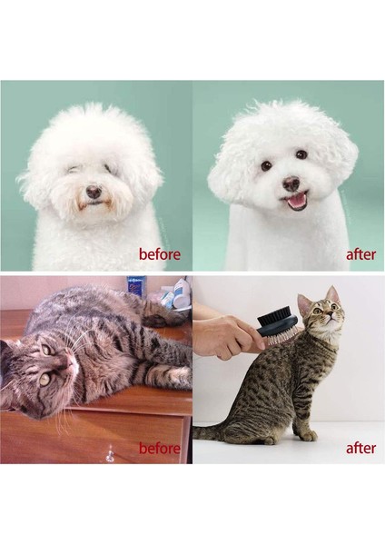 1 Pet Silikon Masaj Fırçası + Kısa Saç Fırçası ile Masterr 2 (Yurt Dışından) fırsatları