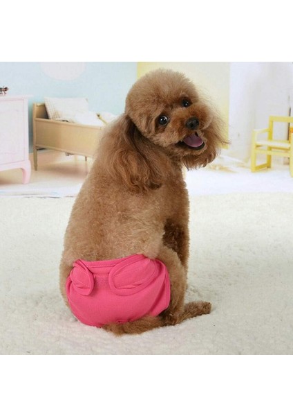 Adet Kullanımlık Fizyolojik Pantolon Sıhhi Külot Kadın Köpekler Küçük Orta ve Büyük Köpekler Için Hijyenik Bezi (Yurt Dışından) modelleri