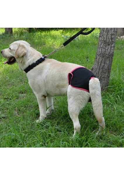 Adet Kullanımlık Fizyolojik Pantolon Sıhhi Külot Kadın Köpekler Küçük Orta ve Büyük Köpekler Için Hijyenik Bezi (Yurt Dışından) fırsatları