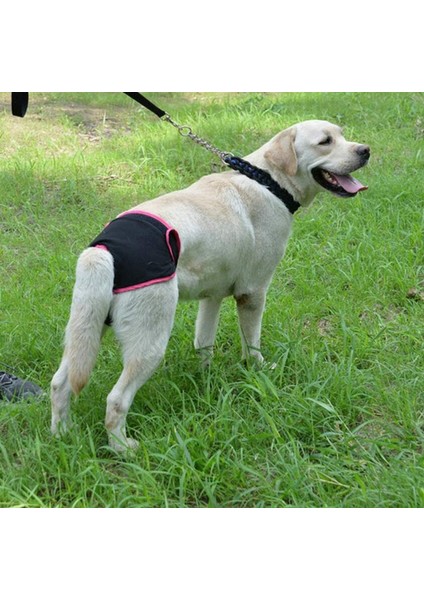 Adet Kullanımlık Fizyolojik Pantolon Sıhhi Külot Kadın Köpekler Küçük Orta ve Büyük Köpekler Için Hijyenik Bezi (Yurt Dışından) indirimleri