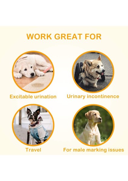 Islaklık Göstergesi Dahil Köpekler Için Tek Kullanımlık Köpek Bezleri Emici Çocuk Bezleri (M 10COUNT (18"-25")) (Yurt Dışından) fiyatları