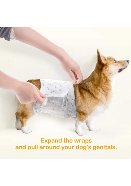 Islaklık Göstergesi Dahil Köpekler Için Tek Kullanımlık Köpek Bezleri Emici Çocuk Bezleri (M 10COUNT (18"-25")) (Yurt Dışından) modelleri