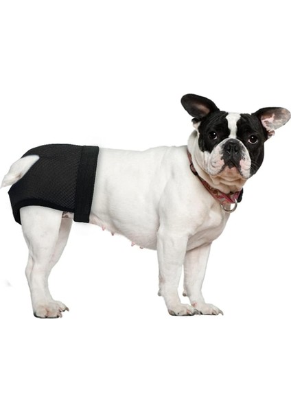 Paket Köpek Külot Kadın Doggie Külot Isı Regl Külot 6 Hijyenik Pedli, Siyah S (Yurt Dışından) fiyatları