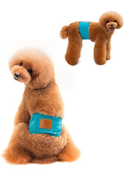 Paket Erkek Köpek Bezi Yıkanabilir Köpek Göbek Bandı Bezi Küçük ve Orta Köpekler Için Fizyolojik Hijyenik Pantolon M (Yurt Dışından) fırsatları