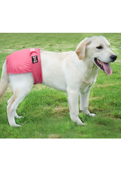 Bez Bebek Bezi Dişi Köpek Yeniden Kullanılabilir Yavru Köpek Bezi Bebek Bezleri Için Fizyolojik Pantolon Sürtükler (3'Lü Paket) (Xs) (Yurt Dışından) modelleri