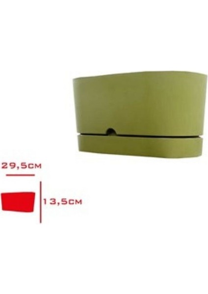 Saksı Balkon Begonya 30 cm Yosun Yeşili fiyatları