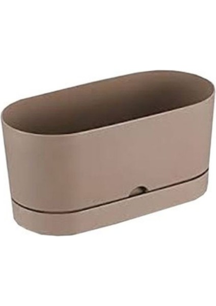 Saksı Balkon Begonya 30 cm Krem