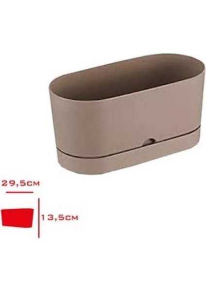 Saksı Balkon Begonya 30 cm Krem fiyatları