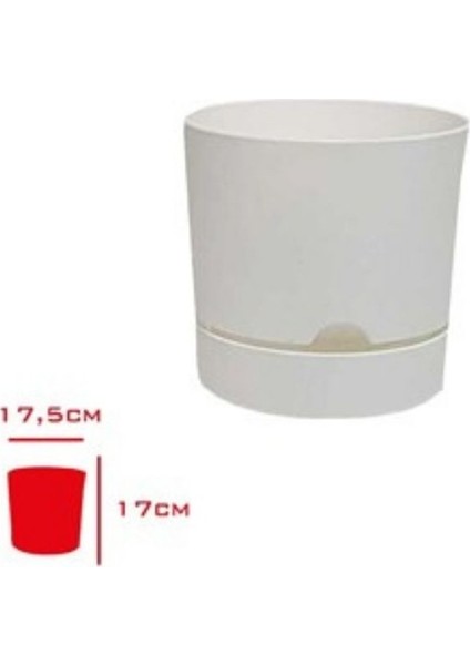 Saksı Begonya 18 cm Beyaz fiyatları
