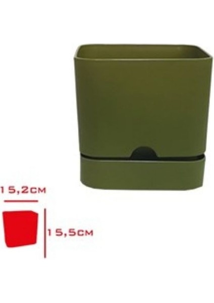 Saksı Begonya Kare 16 cm Yosun Yeşili fiyatları