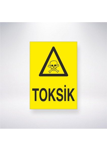 Toksik 21X30 cm Yapışkanlı Levha