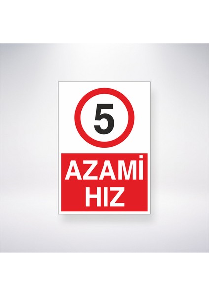 5 Azami Hız 21X35 Arkası Yapışkanlı Levha 21X30 cm Yapışkanlı Levha