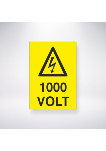 1000 Volt 21X30 cm Yapışkanlı Levha