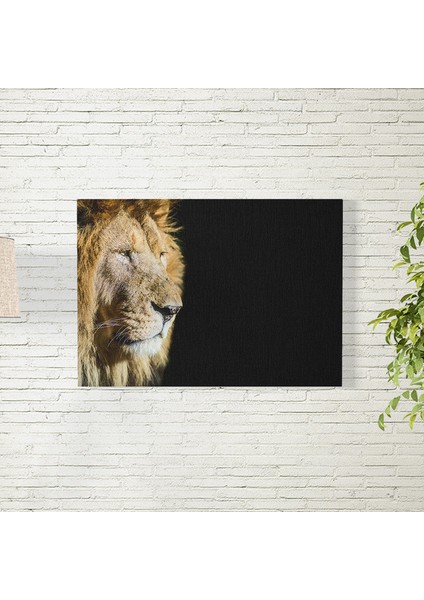 Aslan Posteri 35X50 cm