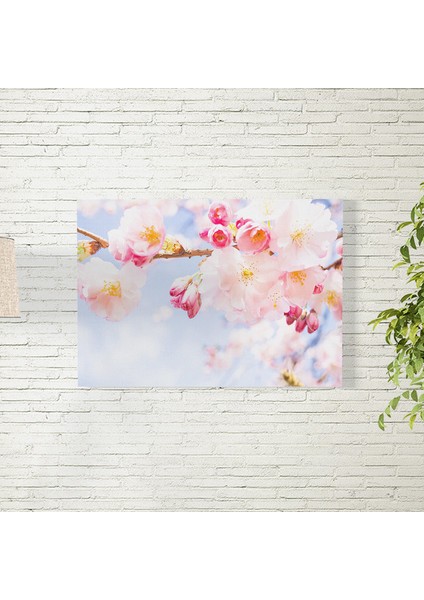 Sakura Çiçekleri Posteri 35X50 cm