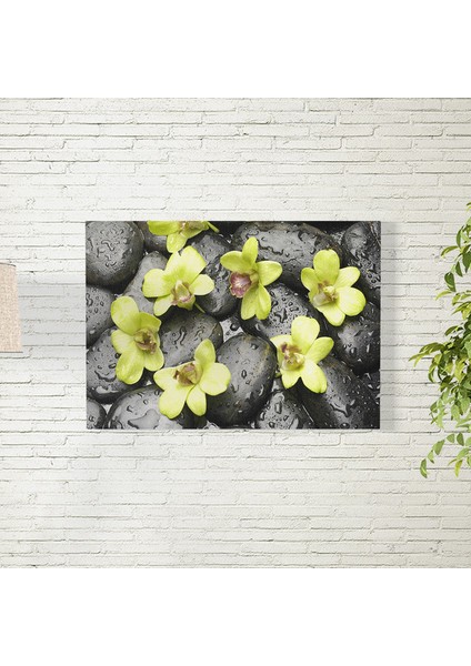 Orkide Çiçeği Posteri 35X50 cm
