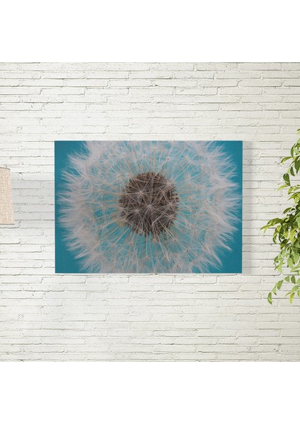 Karahindiba Posteri 35X50 cm