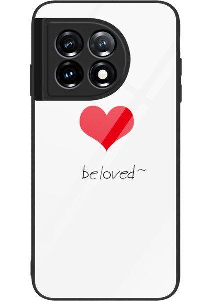 One Plus 11 5g Telefon Kılıfı (Yurt Dışından)