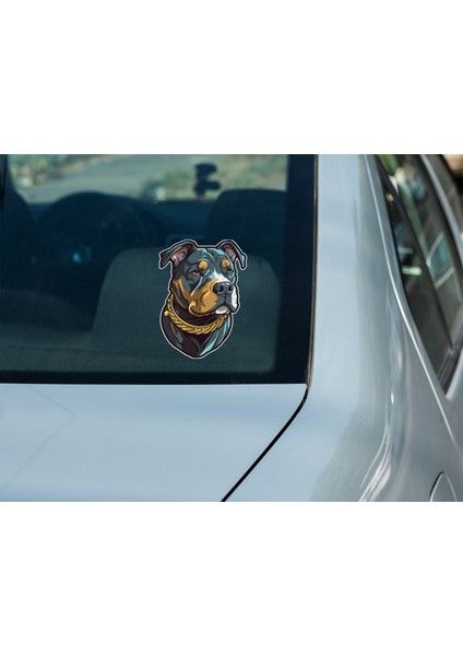 Sticker Master Altın Tasmalı Pitbull Motorsiklet, Kask,laptop ve Araç Sticker Çıkartma 11X15 cm