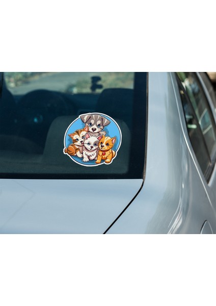Sticker Master Kedi ve Köpek Yavruları Kask,laptop ve Araç Sticker Çıkartma Etiket 15X15 cm