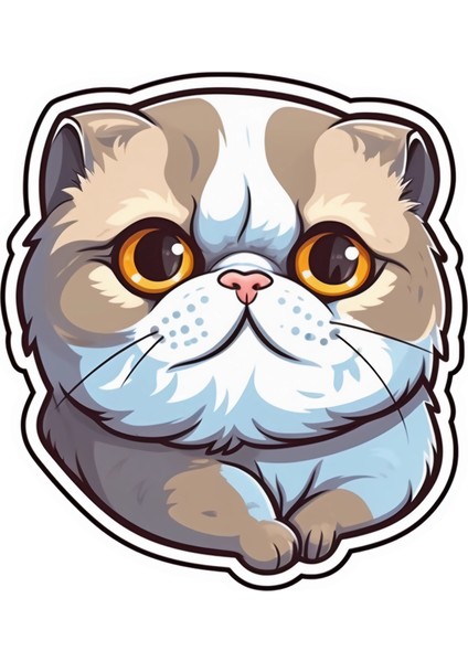 Sticker Master Scottish Fold Cat Kedi Motorsiklet, Kask,laptop ve Araç Sticker Etiket 14X15 cm