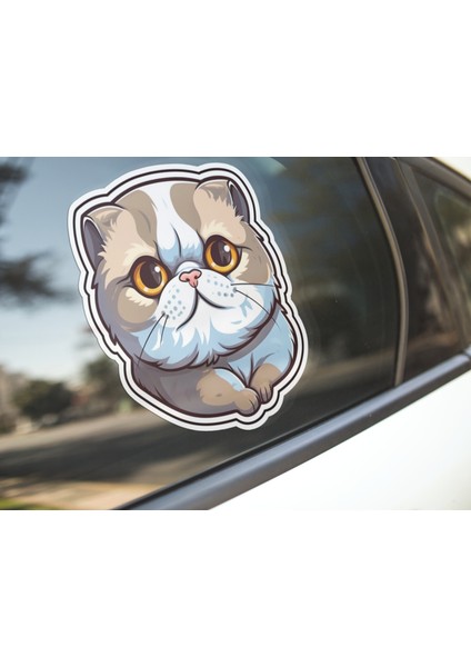 Sticker Master Scottish Fold Cat Kedi Motorsiklet, Kask,laptop ve Araç Sticker Etiket 14X15 cm