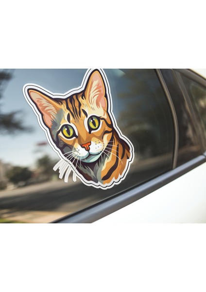 Sticker Master Bengal Kedisi Motorsiklet, Kask,laptop ve Araç Oto Motosiklet Sticker Etiket 13X15 cm fiyatları