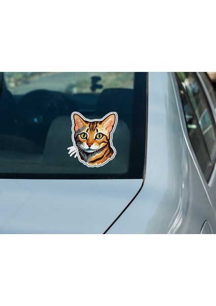 Sticker Master Bengal Kedisi Motorsiklet, Kask,laptop ve Araç Oto Motosiklet Sticker Etiket 13X15 cm fırsatları