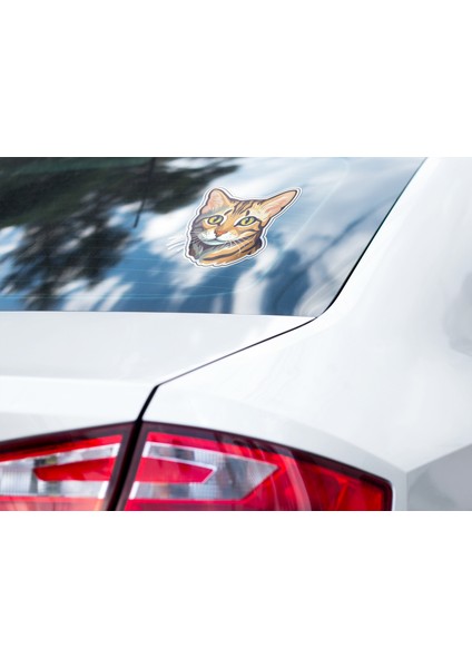 Sticker Master Bengal Kedisi Motorsiklet, Kask,laptop ve Araç Oto Motosiklet Sticker Etiket 13X15 cm indirimleri