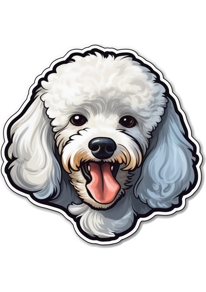 Sticker Master Poodle Kaniş Motorsiklet, Kask , Laptop ve Araç Oto Sticker Etiket Çıkartma 15X15 cm