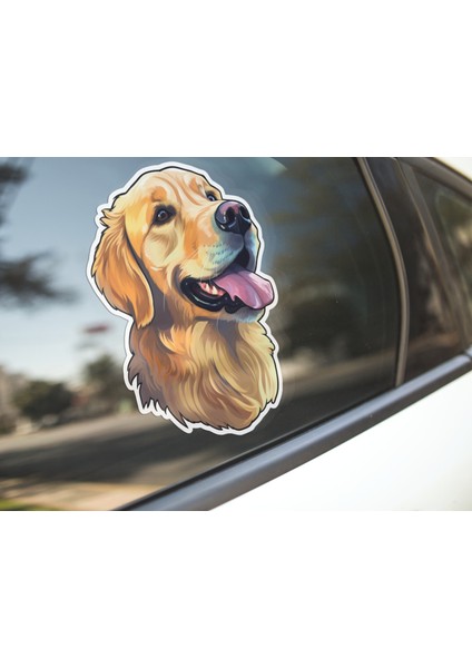 Sticker Master Golden Retriever Motorsiklet, Kask , Laptop ve Araç Oto Sticker Etiket 12X15 cm modelleri
