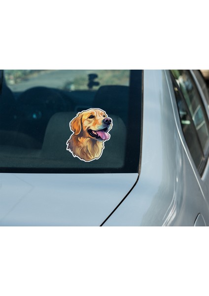 Sticker Master Golden Retriever Motorsiklet, Kask , Laptop ve Araç Oto Sticker Etiket 12X15 cm fırsatları