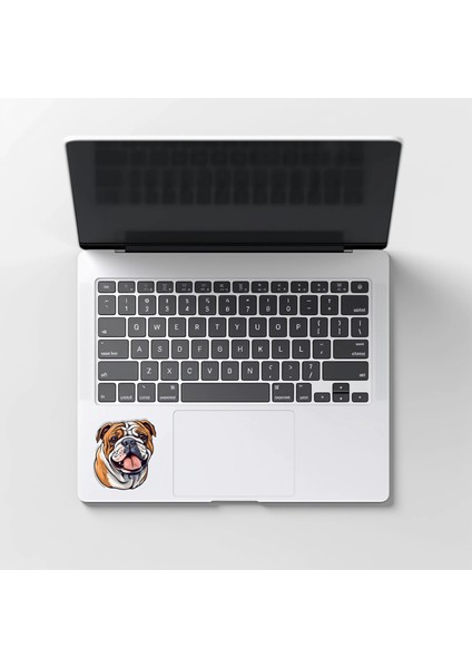 Sticker Master Bulldog Motorsiklet, Kask , Laptop ve Araç Oto Sticker Etiket Çıkartma fiyatları