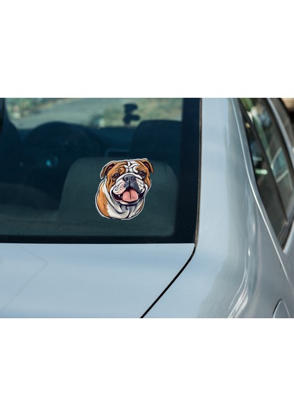 Sticker Master Bulldog Motorsiklet, Kask , Laptop ve Araç Oto Sticker Etiket Çıkartma fırsatları