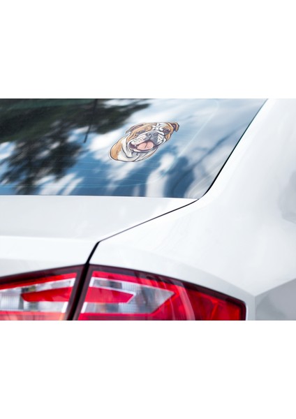 Sticker Master Bulldog Motorsiklet, Kask , Laptop ve Araç Oto Sticker Etiket Çıkartma indirimleri