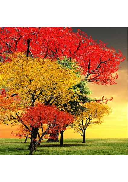 Kırmızı Ağaçlar Doğal Taş Bardak Altlığı 4'lü Set - Natural Stone Coasters fırsatları