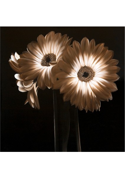 Siyah Zemin Lale Gerbera ve Çiçekler Doğal Taş Bardak Altlığı 4'lü Set - Natural Stone Coasters modelleri