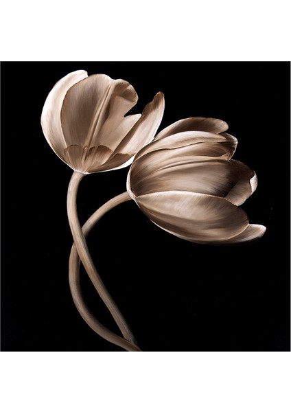 Siyah Zemin Lale Gerbera ve Çiçekler Doğal Taş Bardak Altlığı 4'lü Set - Natural Stone Coasters fırsatları