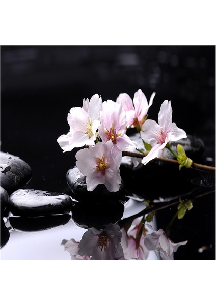Spa Taşları ve Kiraz Çiçeği Doğal Taş Bardak Altlığı 4'lü Set - Natural Stone Coasters fırsatları
