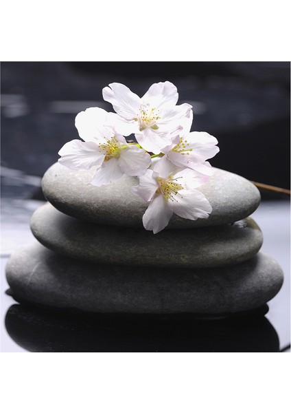 Spa Taşları ve Kiraz Çiçeği Doğal Taş Bardak Altlığı 4'lü Set - Natural Stone Coasters indirimleri
